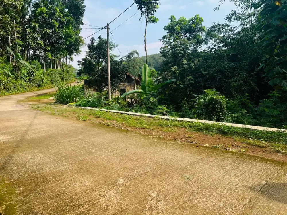 Tanah Subur 1472m² Hanya 250Jt Ngargoyoso