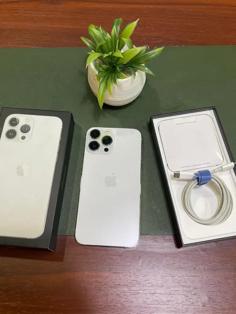iPhone 13 Pro Max 256GB BH 91% Silver Garansi Ex iBox