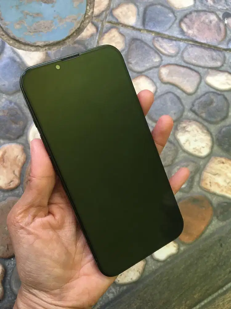 IPhone 13 green 128gb ibox