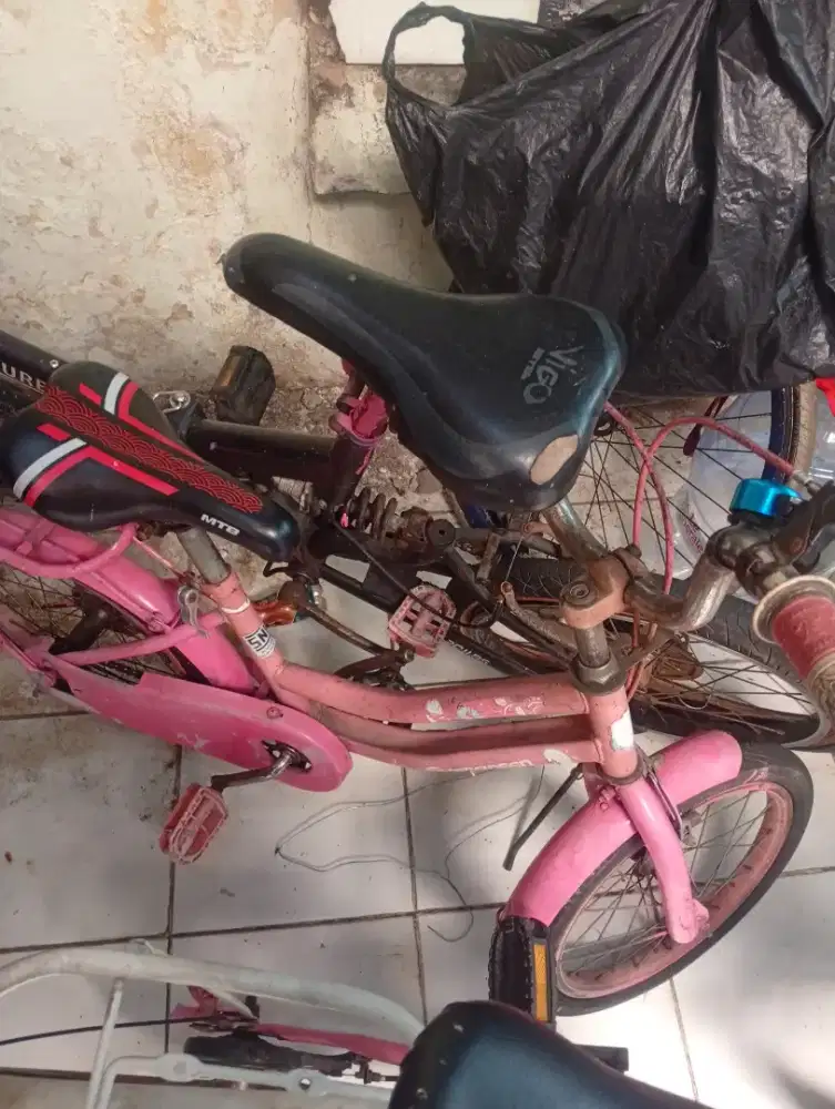 Sepeda anak cewek 16