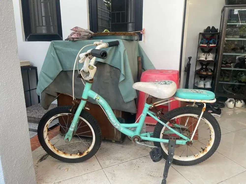 Sepeda anak Polygon