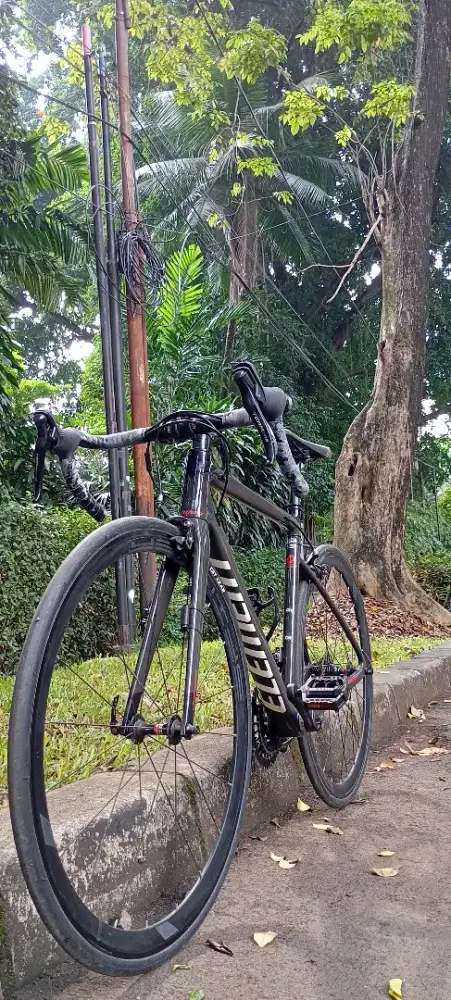 Roadbike element nerone carbon