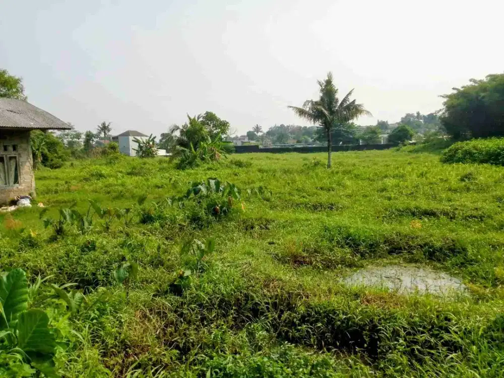 Tanah Kebun Murah Harga NJOP di Bogor Kota