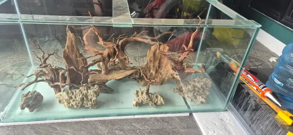 Aquarium New bgt