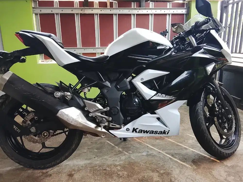 2015 Ninja 250 Mono