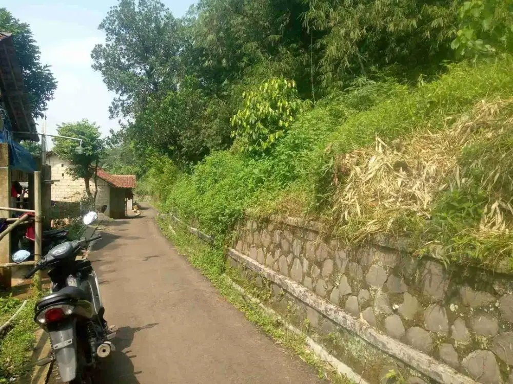 Tanah Kebun Subur di Cimanggu Bogor