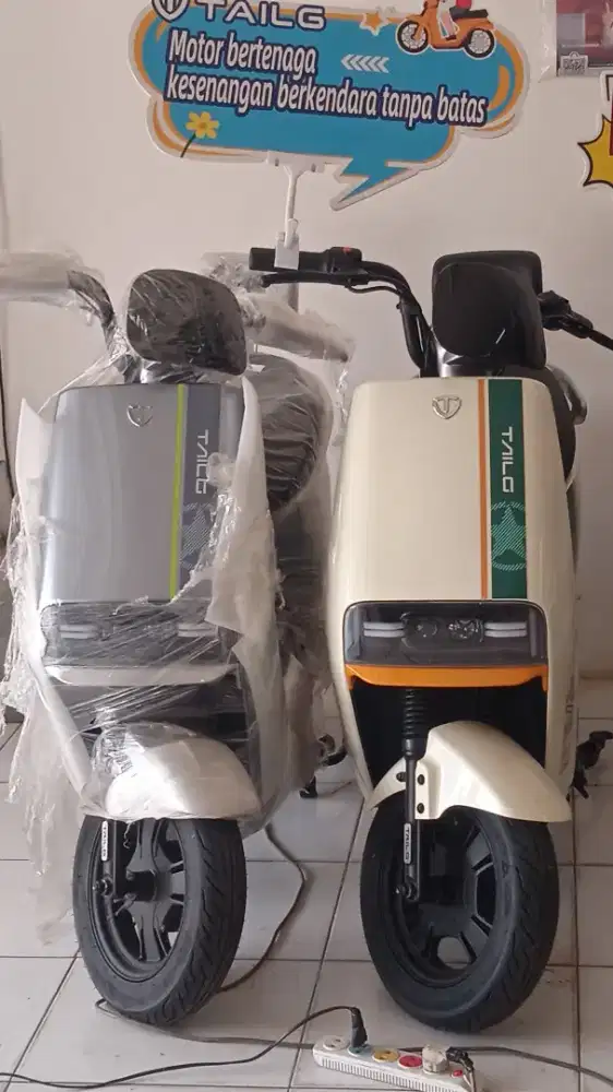 SPEDA LISTRIK BAGUS E-BIKE Rawa Buaya