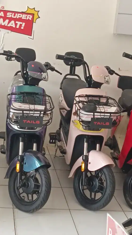 SEPEDA LISTRIK  BAGUS E-BIKE Rawa Buaya