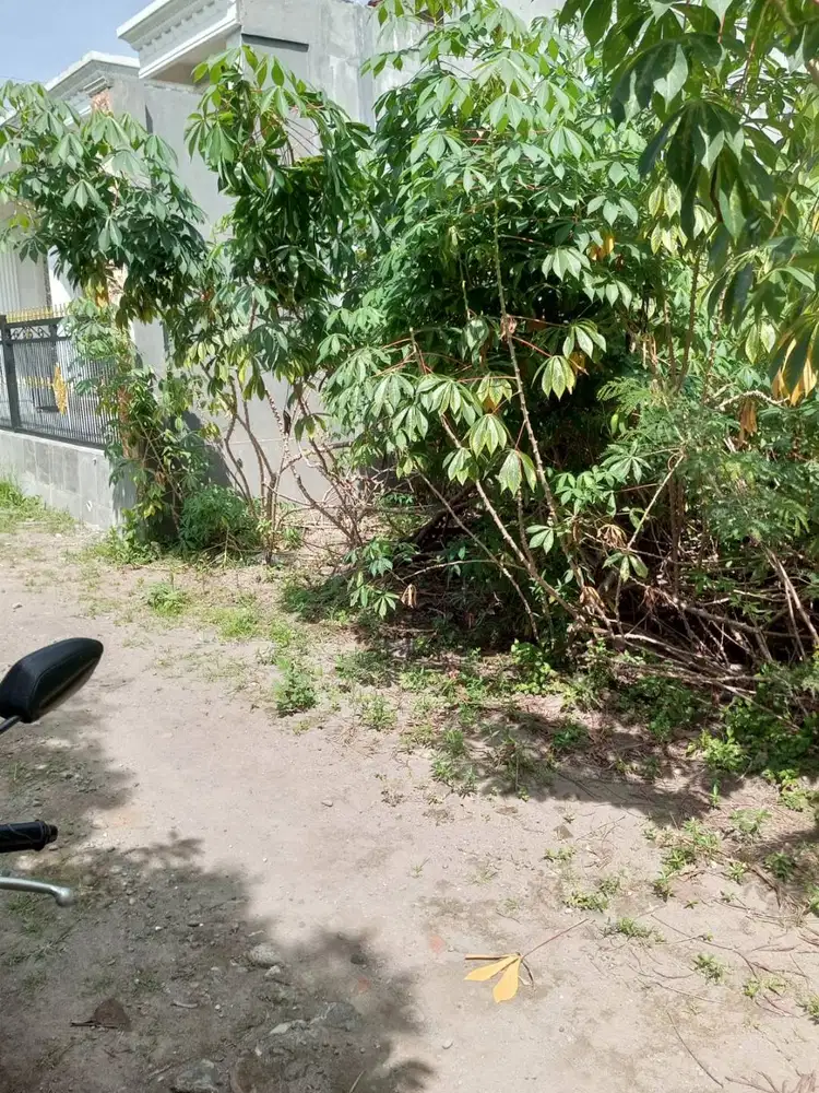Dijual Tanah Pekarangan