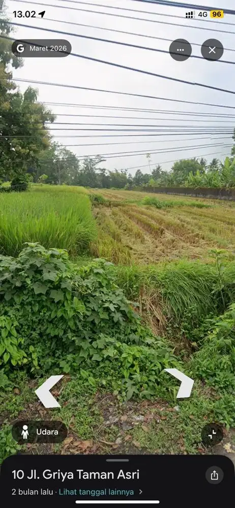 Sawah Pinggir Jalan