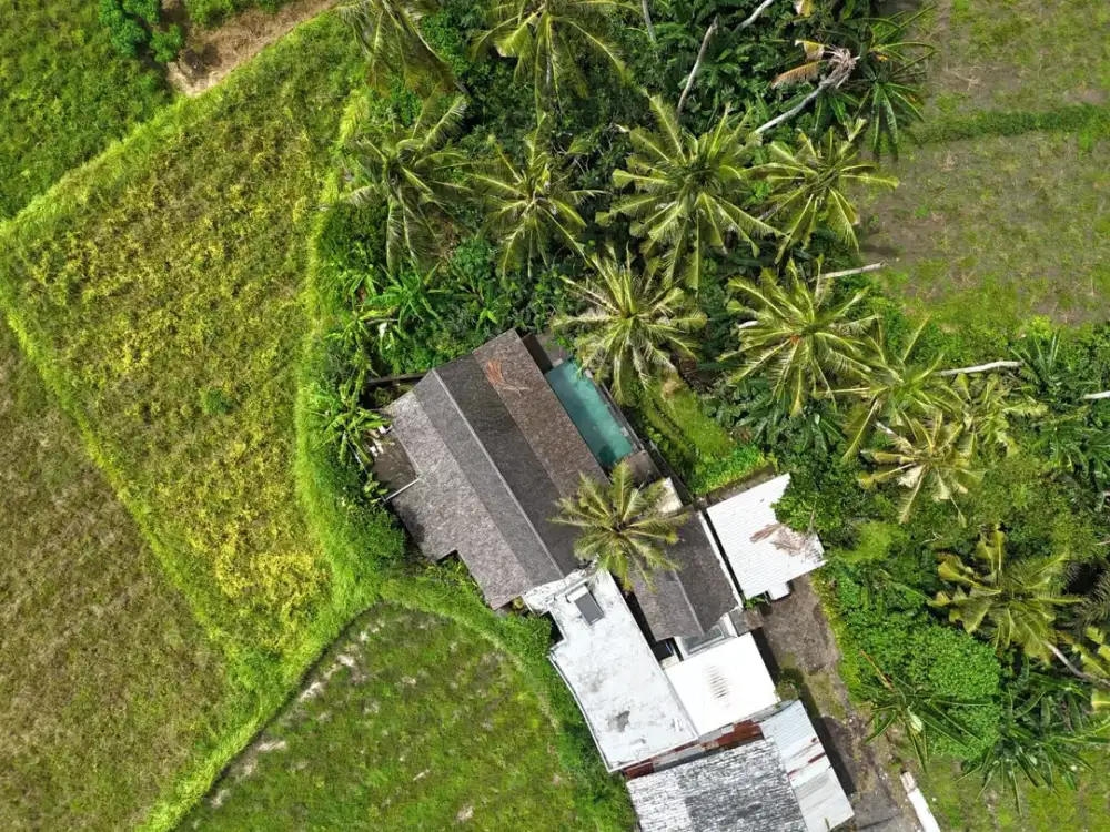 JUAL VILLA TEPI SAWAH GIANYAR