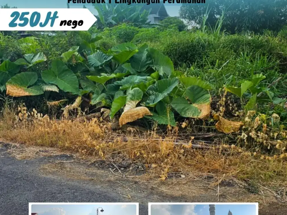 Dijual Tanah Pekarangan di Karanganyar Kota Padat Peenduduk