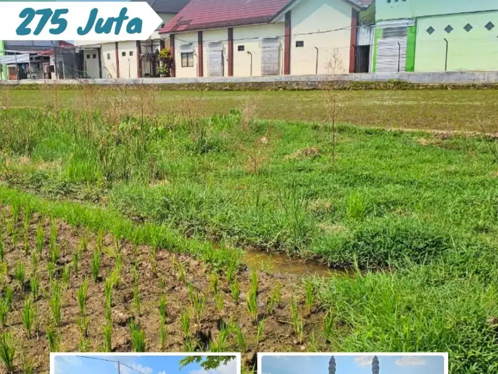 Dijual Tanah Pekarangan di Selatan Masjid Madaniyah Karangany