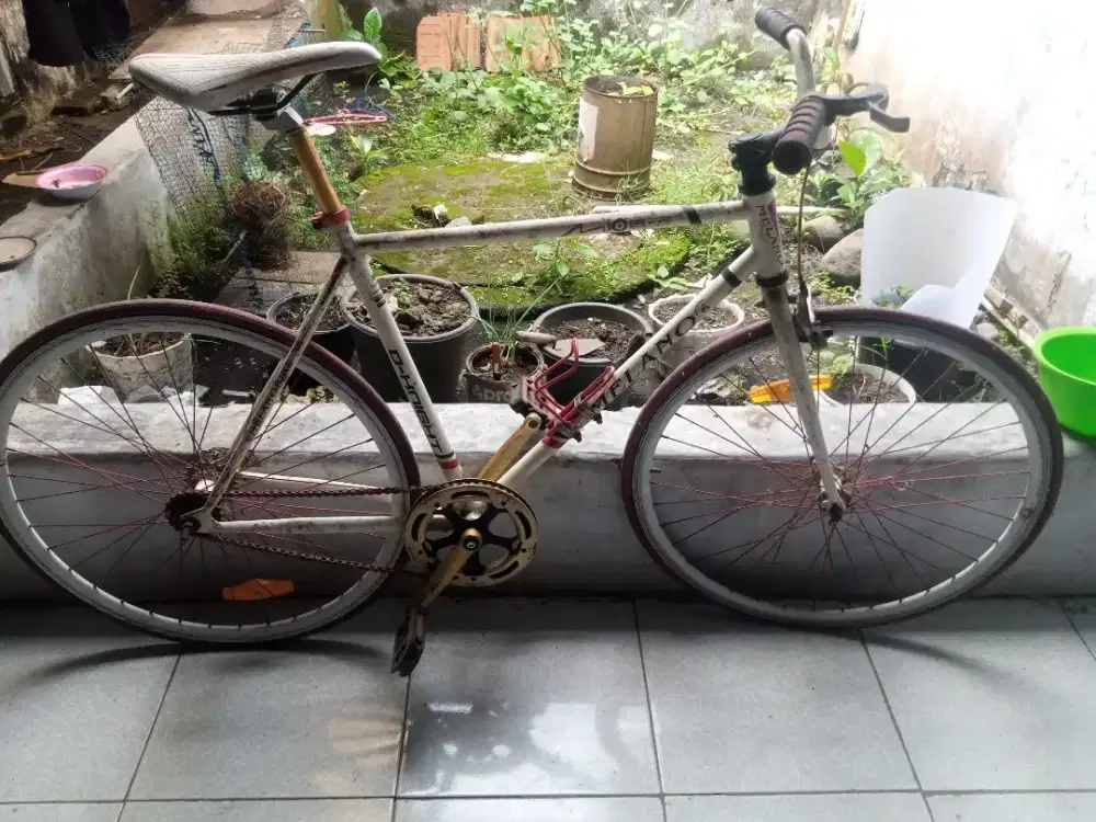 Sepeda dewasa bagus