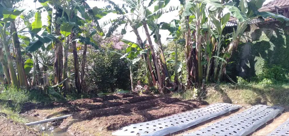 DIJUAL TANAH SIAP BANGUN LOKASI SETIABUDI BANDUNG