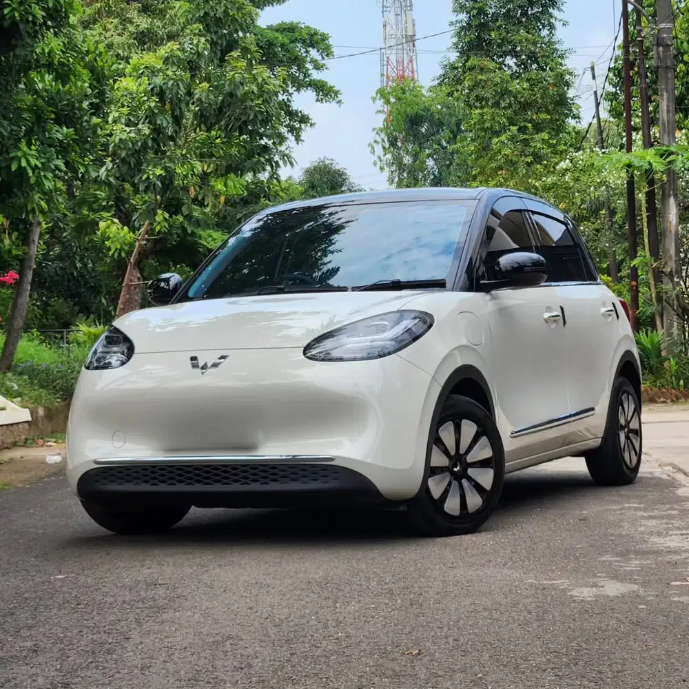 Wuling Binguo EV 410 AC/DC 2024