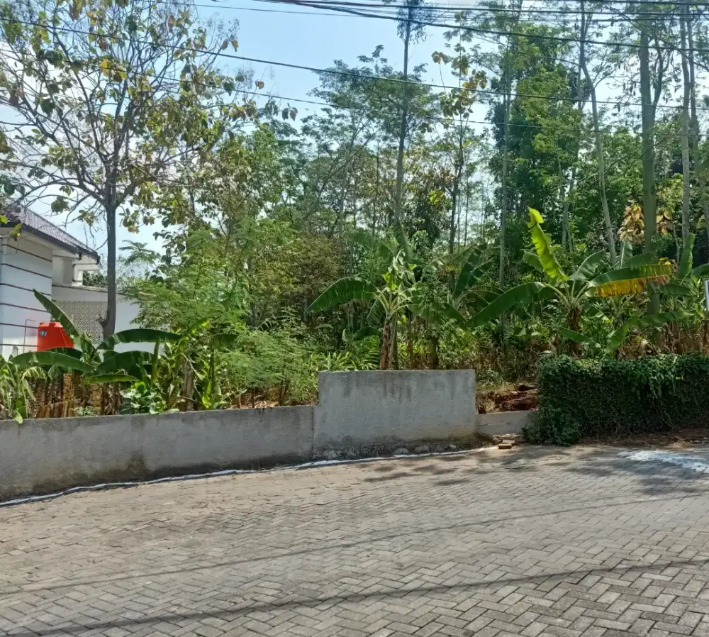 TANAH MURAH, ISTIMEWA LOKASI,SELANGKAH KAMPUS UNDIP SEMARANG