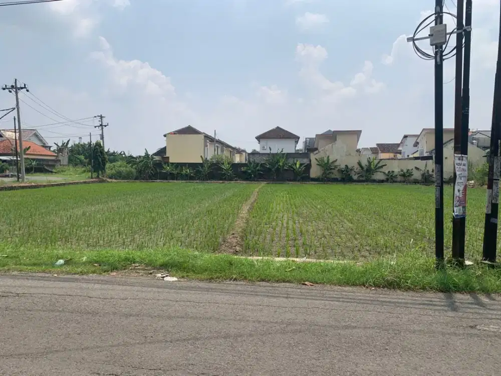 Disewakan Tanah Sawah Pekarangan Strategis Lokasi Colomadu,Karanganyar Luas 2000m2