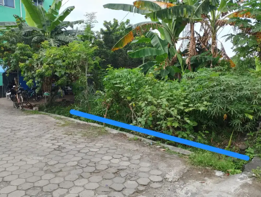 Tanah murah Dekat kampus UPY PGRI di sonosewu Ngestiharjo Bantul
