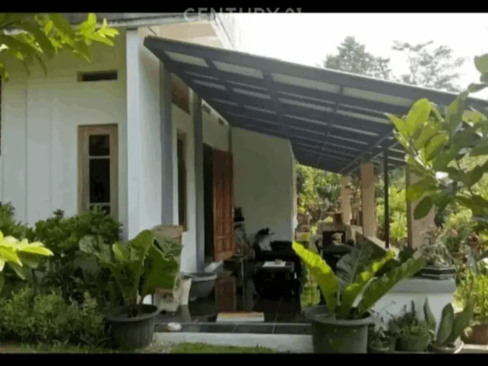 Dijual Villa Di Bogor Ciaruteun Bogor Jawa Barat