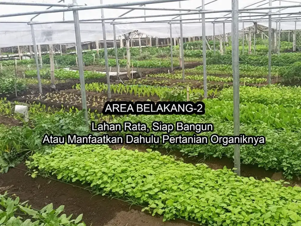 HARGA TURUN Tanah SHM Lebar Muka 39M Luas 3122M2 Dataran Tinggi 1200M DPL Di Jalan Karyawangi Parongpong Bandung