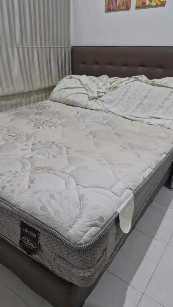 Springbed Elite 160