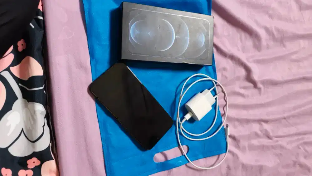 Iphone 12 Promax 256 BEACUKAI