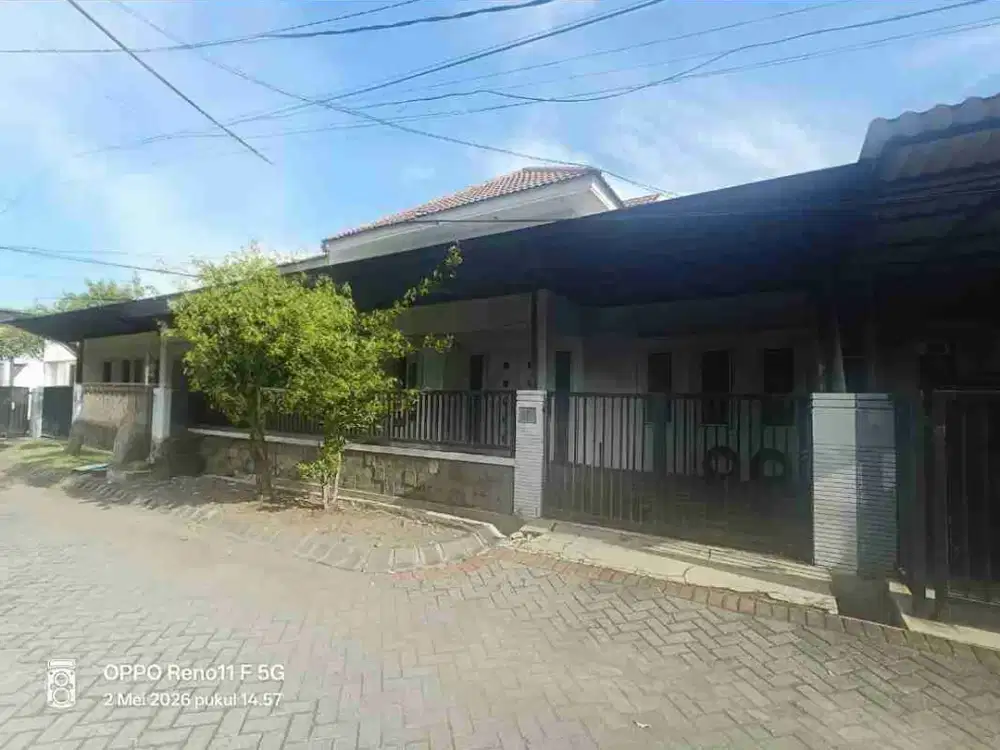 delima