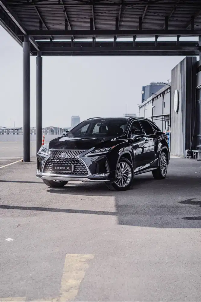 NIK 2019 Lexus RX300 Luxury Black on Black Interior