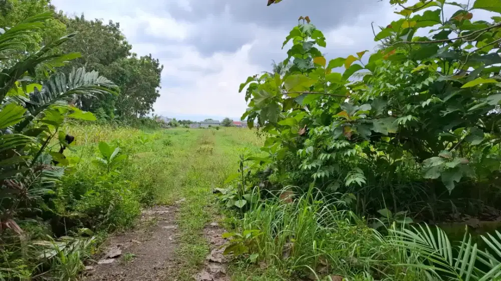 DIJUAL CEPAT TANPA PERANTARA!!