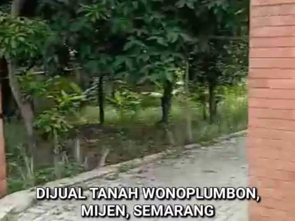 DIJUAL TANAH WONOPOLO, MIJEN SEMARANG. POSISI HOOK NEMPEL JALAN UTAMA PERUMAHAN PANDAWA DAN PERUMAHAN WANA HIJAU MIJEN, SEMARANG