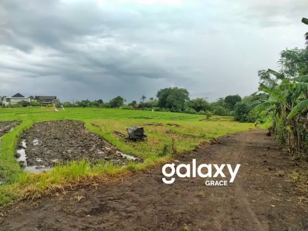 DIJUAL TANAH UMALALANG CEMAGI MENGWI BADUNG