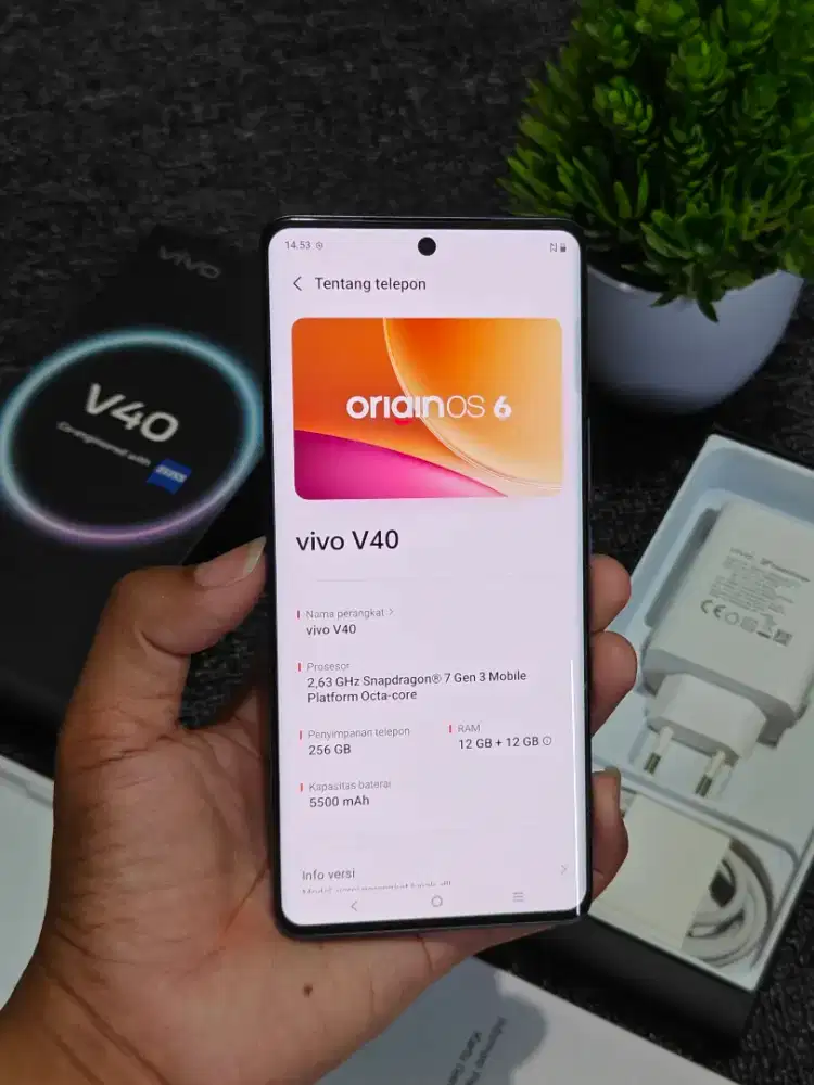Vivo V40 5g 12/256