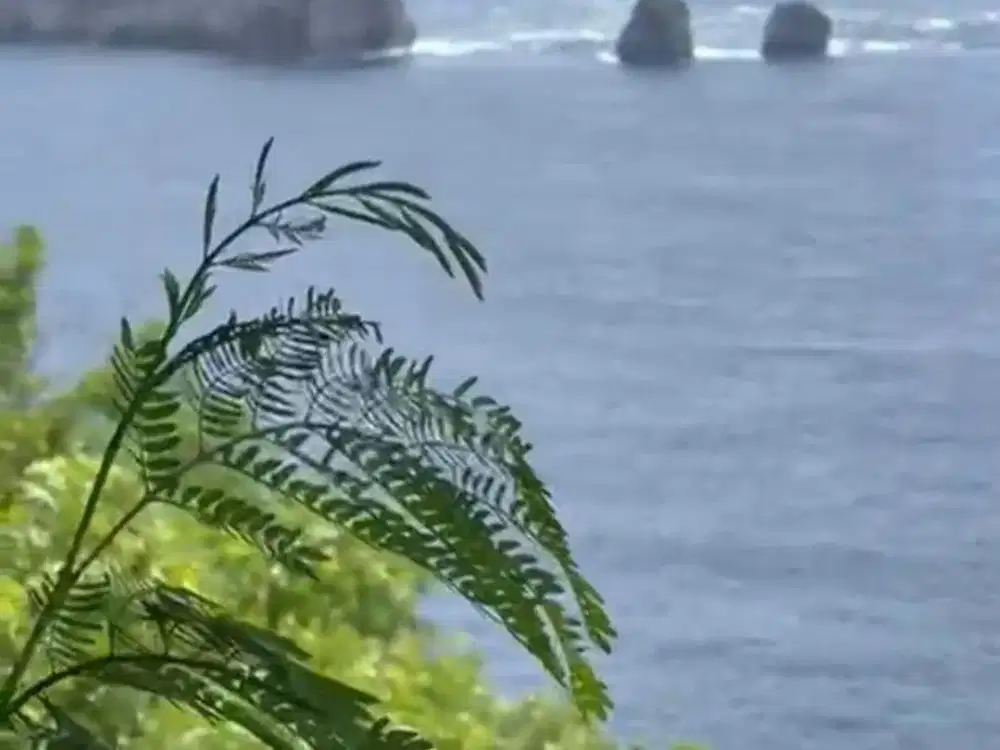 Tanah Pinggir Tebing 2,63 Are Dijual, di Nusa Penida
