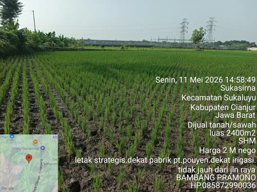 Dijual cepat tanah/sawah