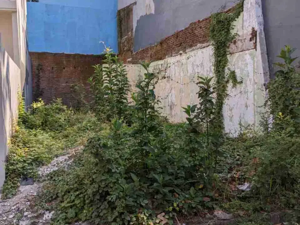 dijual tanah murah siap bangun di wisma Gunungsari surabaya dekat masjid agung nasional Al -akbar, dekat jl.a.yani, dekat Polda Jatim