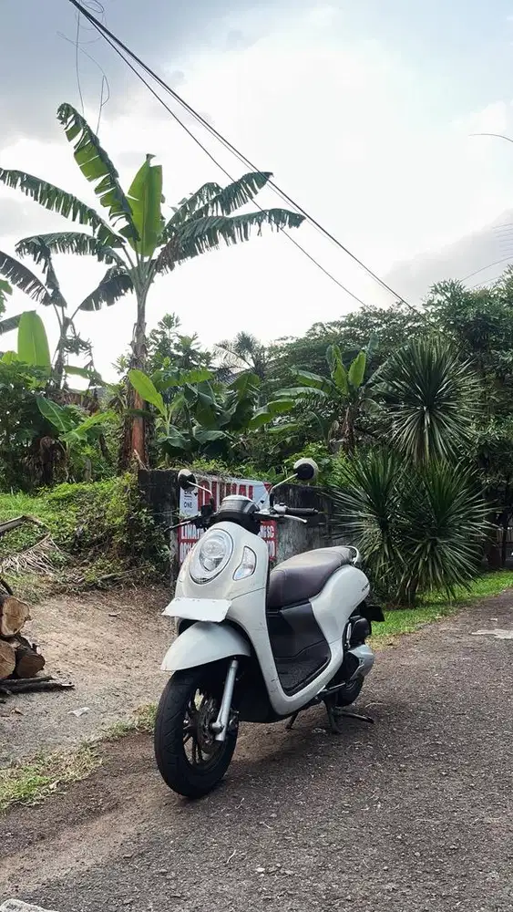 Honda Scoopy Prestige 2023