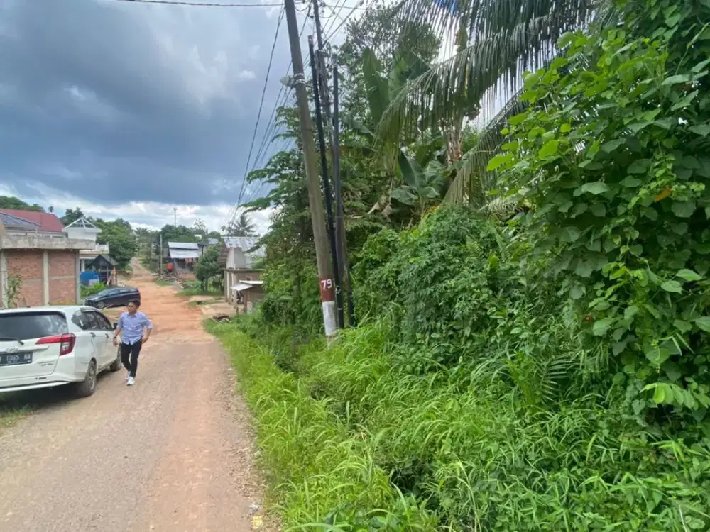 Tanah Murah di jambi timur di Selincah 75  jt/tumbuk bisa cash tempo