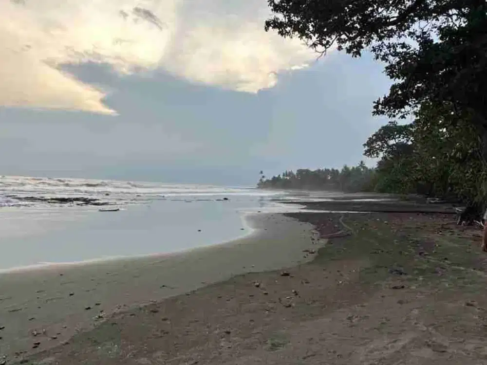 LOS PANTAI 70 ARE DI PEKUTATAN JEMBRANA