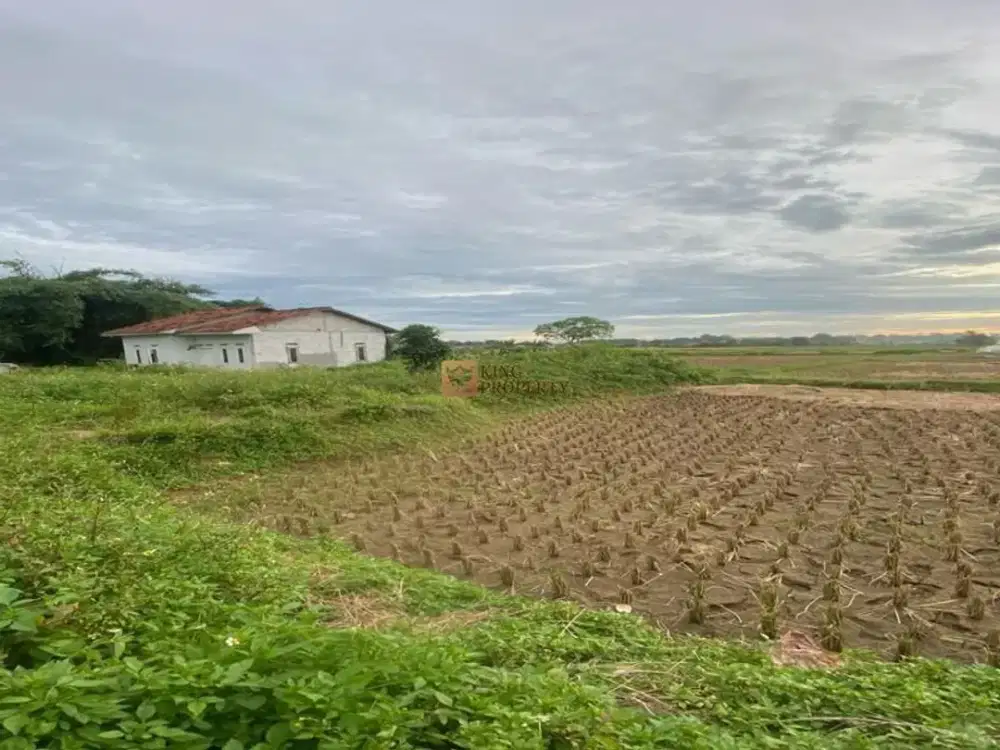 Tanah Strategis dan Menguntungkan Area Sawah Legok Cocok untuk Developer & Investor