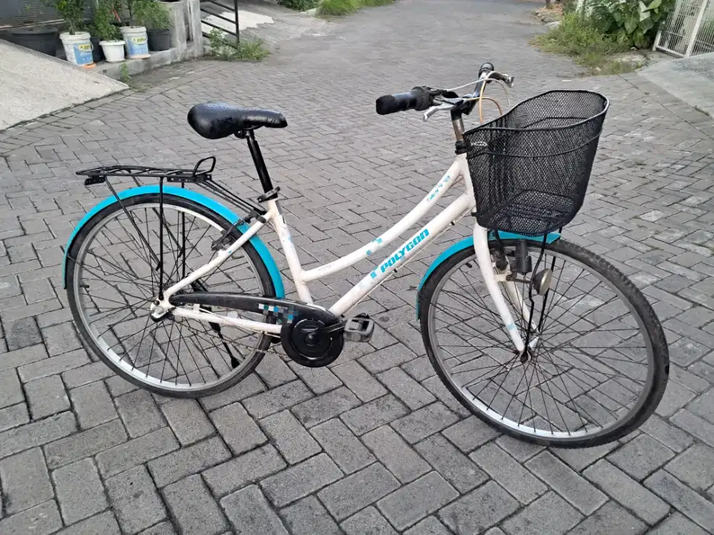 Polygon Siera Lite Nexus i3