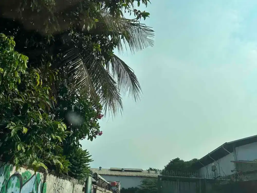 Dijual Rumah Tua ,jalan Raya  dan lebar,luas 650 m,Pasir  putih Raya, Ancol