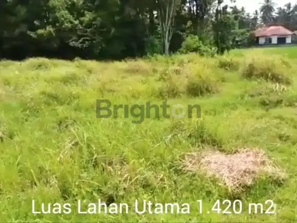 Tanah SHM 1.486 m² Pejeng Kangin Tampaksiring, Suasana Subak Asri Dekat Ubud