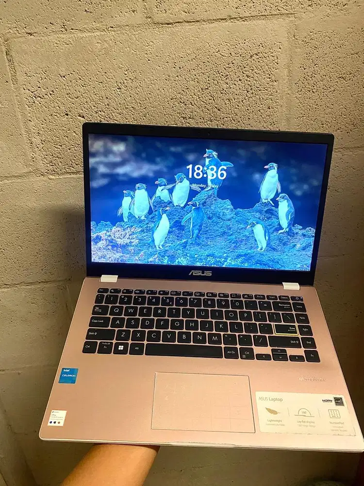 (SECOND) Asus Vivobook GO14 E410KA FHD456M 8GB 512GB W11 Rose Pink