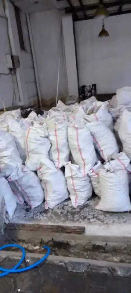 Puing silahkan yang lagi butuh