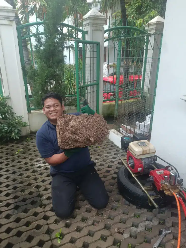 Pest Control, Pembasmi Hama, Desinfektan, Fogging, & Anti Rayap