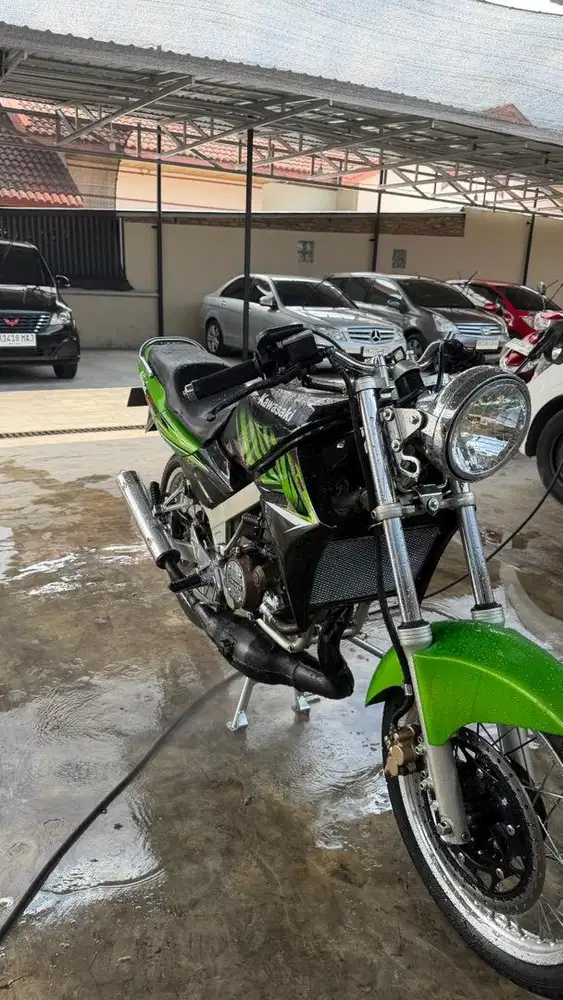 NINJA SS 2014 zebra hijau