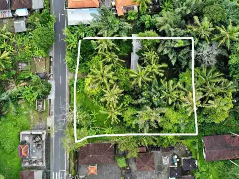 jl utama bongkasa deket ubud!! 13.7 are tanah di jual termurah