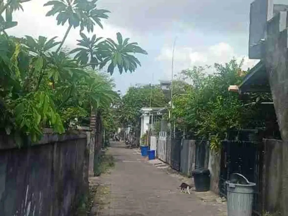 Jual Tanah Luas 143m² Lokasi Paku Sari Sesetan Denpasar selatan. area Tidak Banjir & Strategis