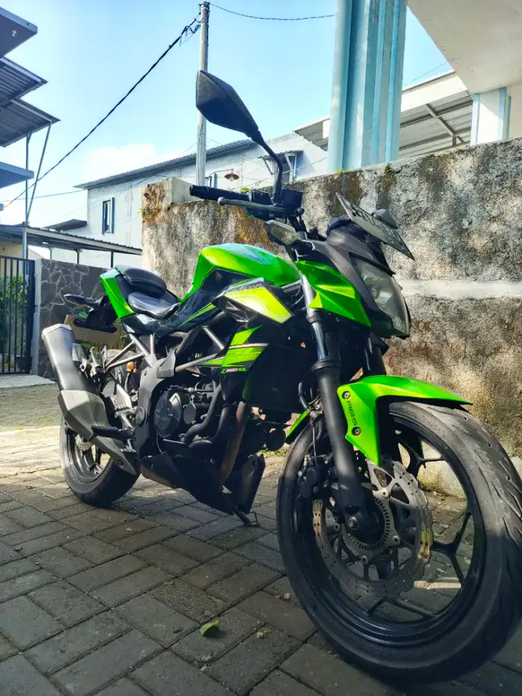 Kawasaki Z250 sl/mono (ABS)